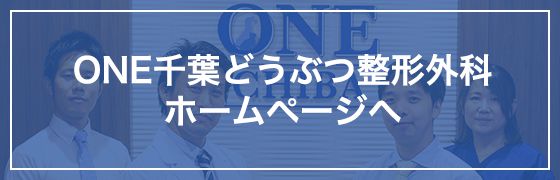 ONE千葉どうぶつ整形外科ホームページへ