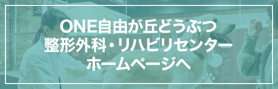 ONE自由が丘どうぶつ整形外科・リハビリセンターホームページへ