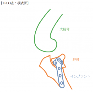 TPLO法。犬の前十字靭帯損傷の治療（手術）方法。